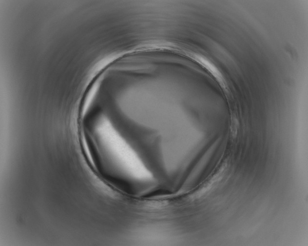 X0000113341055200910060953