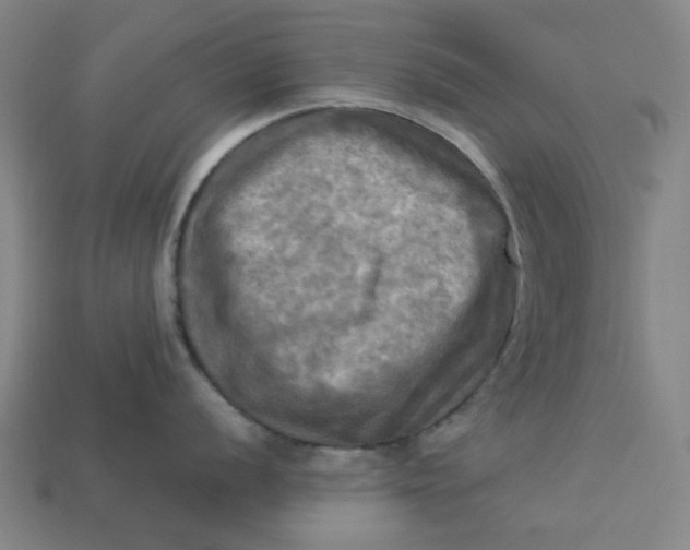 X0000113341056200910060953