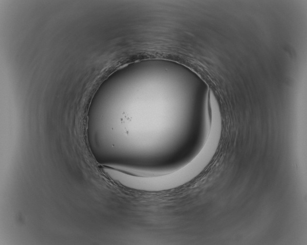 X0000113341057200910060953