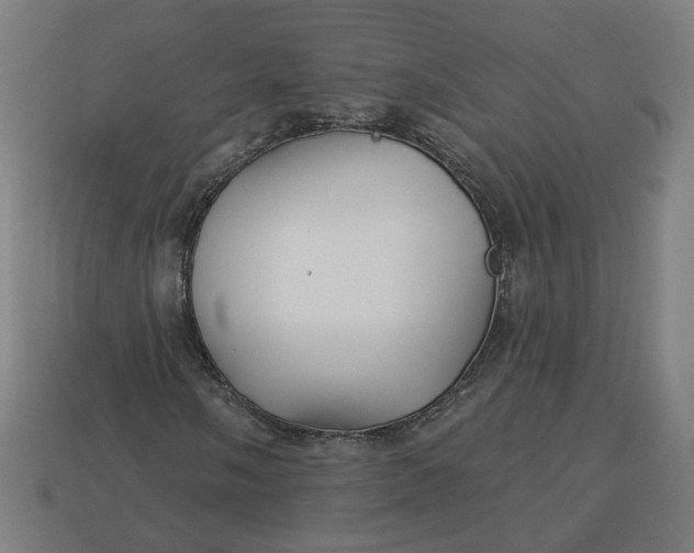 X0000113341058200910060953