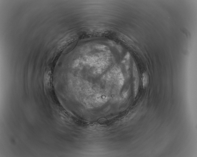 X0000113341059200910060953