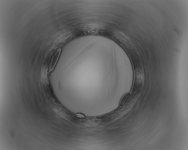 X0000113341060200910060953