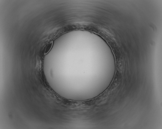 X0000113341061200910060953