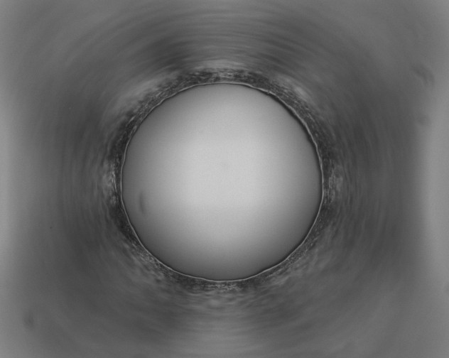 X0000113341062200910060953