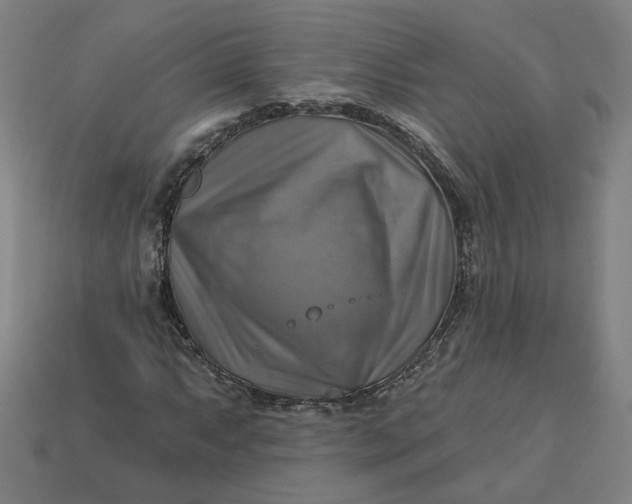 X0000113341063200910060953