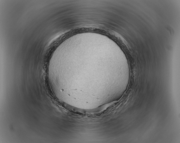 X0000113341064200910060953