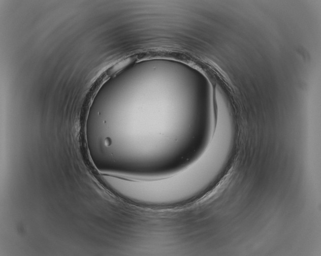 X0000113341065200910060953