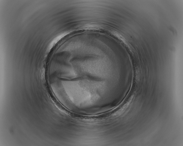 X0000113341066200910060953