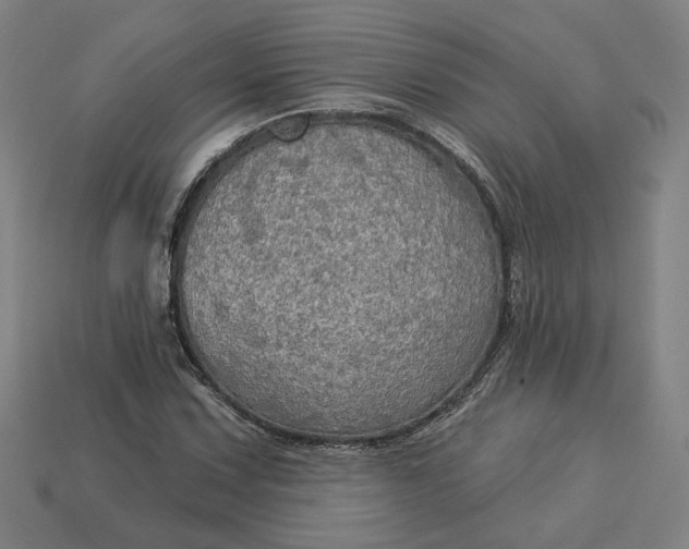 X0000113341067200910060953