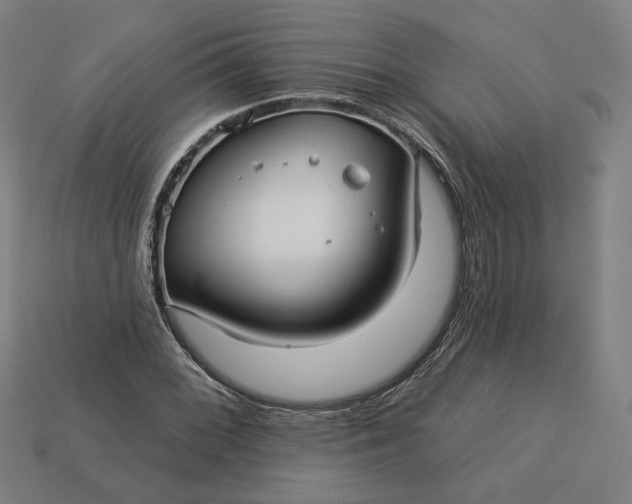 X0000113341068200910060953