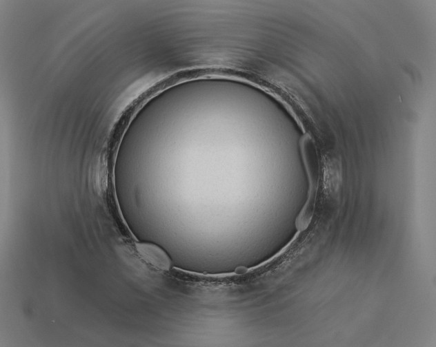 X0000113341069200910060953