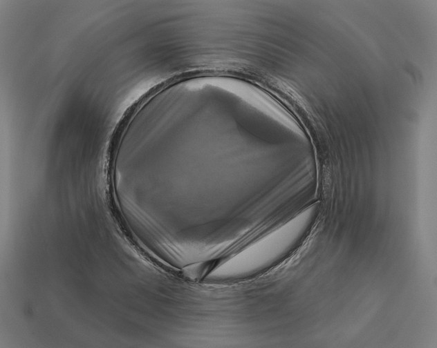 X0000113341071200910060953