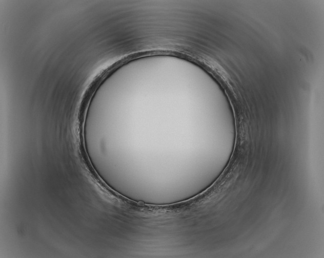 X0000113341072200910060953