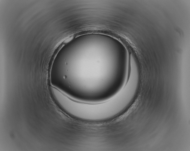 X0000113341073200910060953