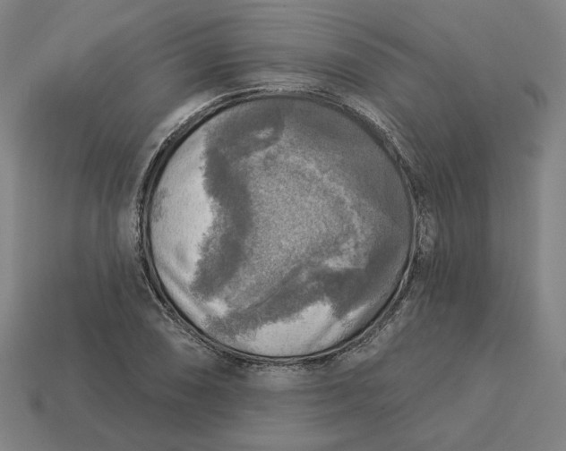 X0000113341074200910060953