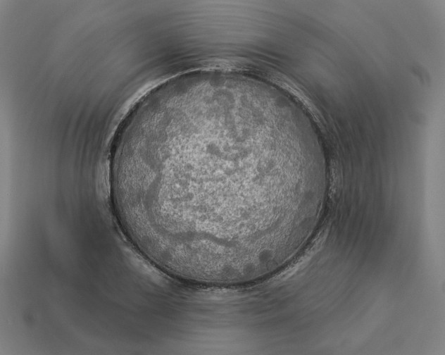 X0000113341075200910060953