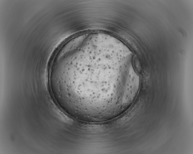 X0000113341076200910060953