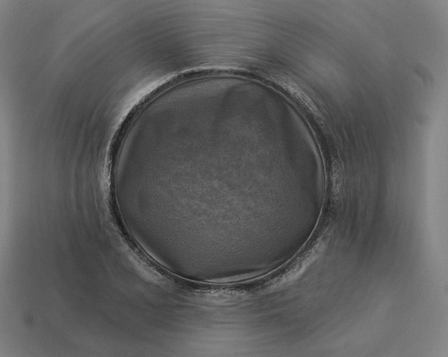 X0000113341077200910060953