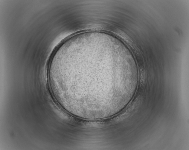 X0000113341078200910060953