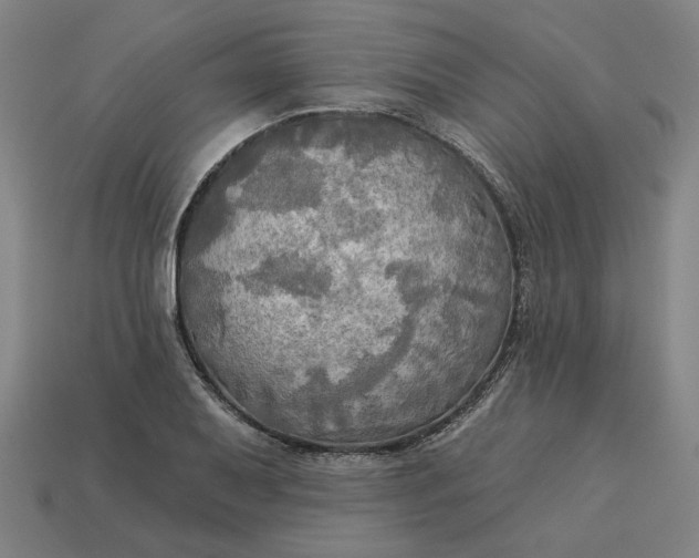 X0000113341079200910060953