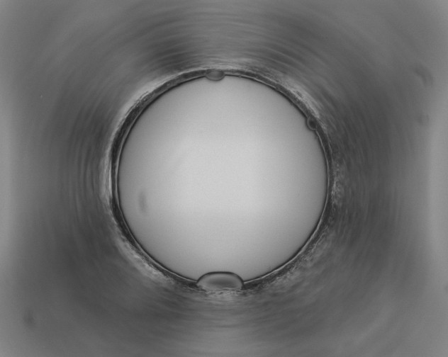 X0000113341080200910060953