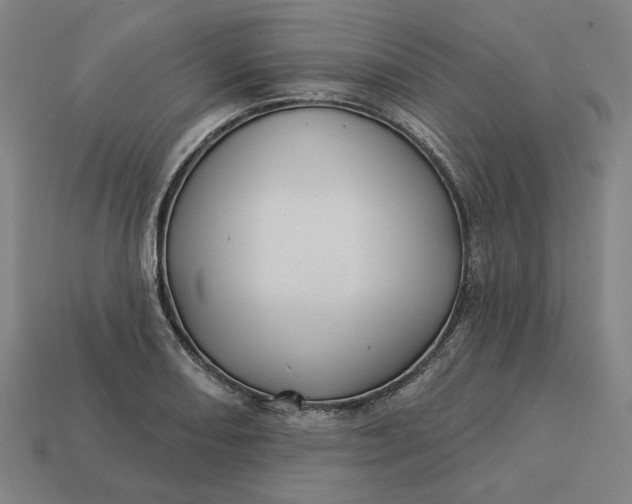 X0000113341082200910060953