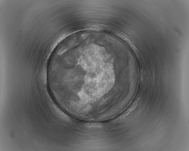 X0000113341083200910060952