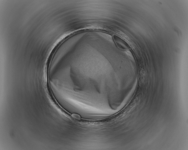 X0000113341084200910060952