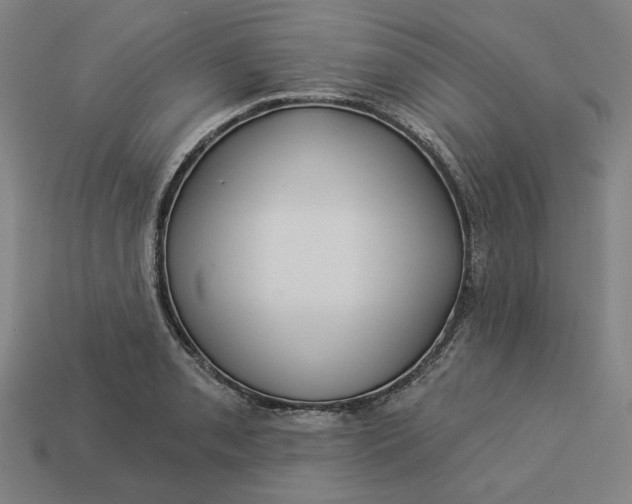 X0000113341085200910060952