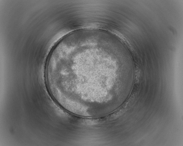 X0000113341086200910060952