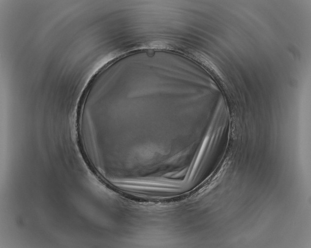 X0000113341087200910060952