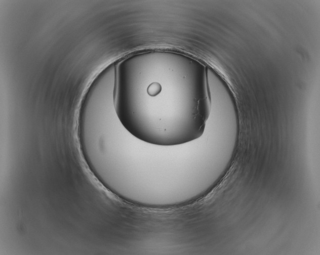 X0000113341088200910060952