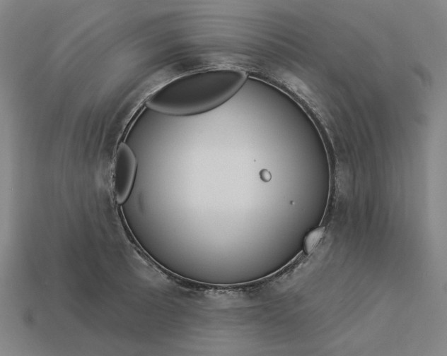 X0000113341089200910060952