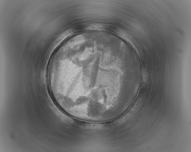 X0000113341090200910060952