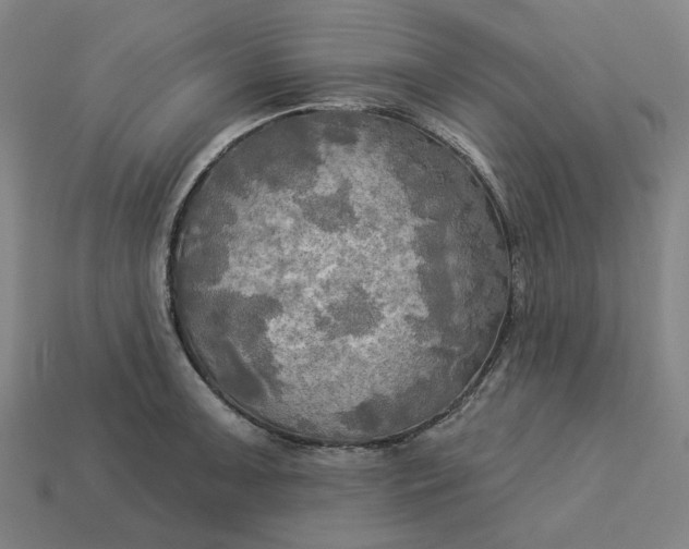 X0000113341091200910060952