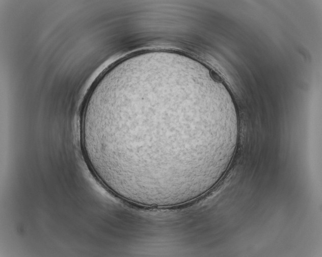 X0000113341092200910060952