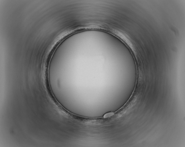 X0000113341093200910060952