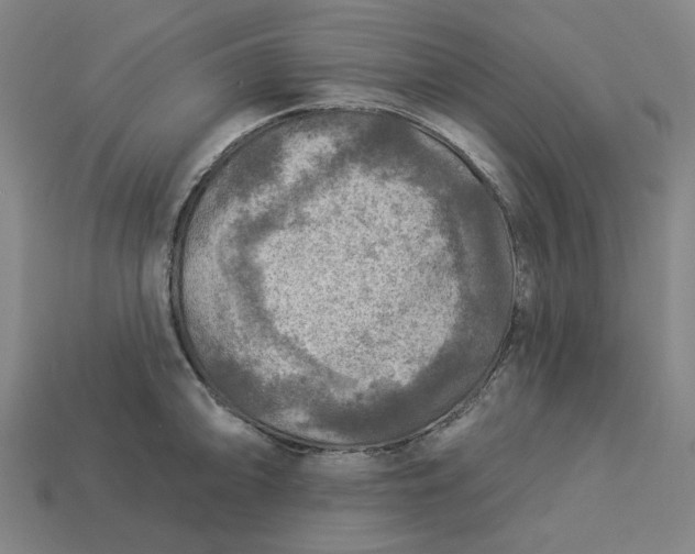 X0000113341094200910060952