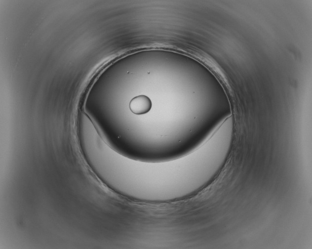 X0000113341096200910060952