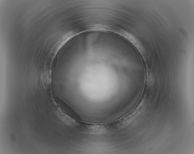 X0000113341097200910060952