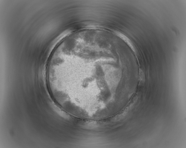 X0000113341098200910060952