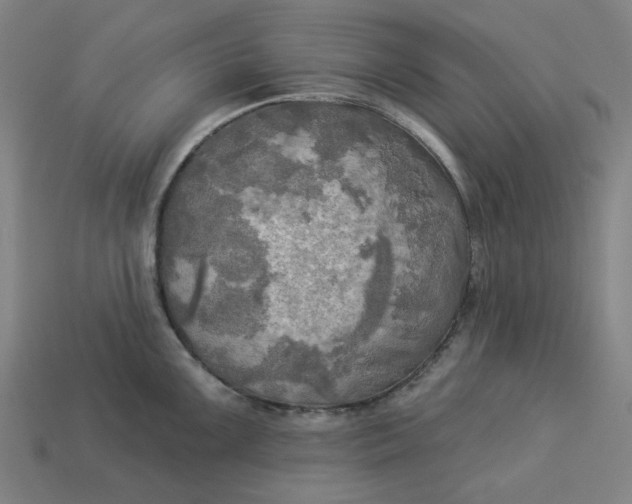 X0000113341099200910060952