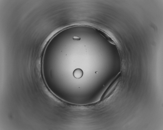 X0000113341100200910060952