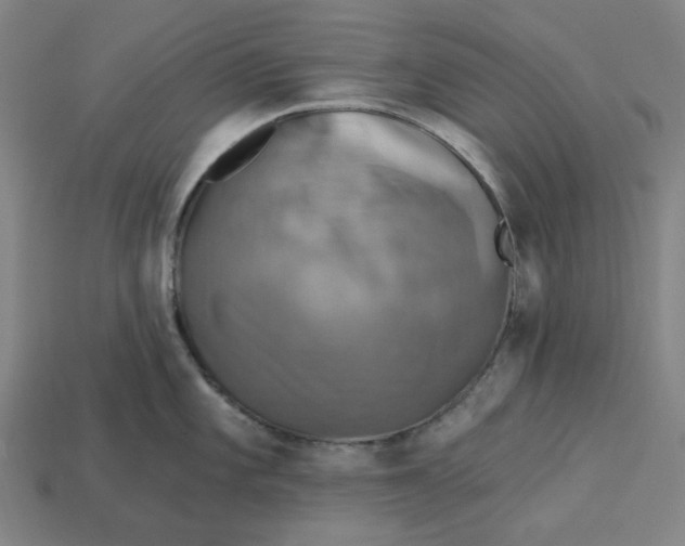 X0000113341101200910060952