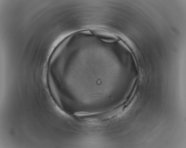 X0000113341102200910060952