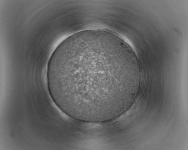 X0000113341103200910060952