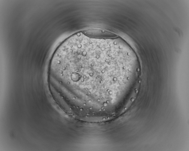 X0000113341104200910060952