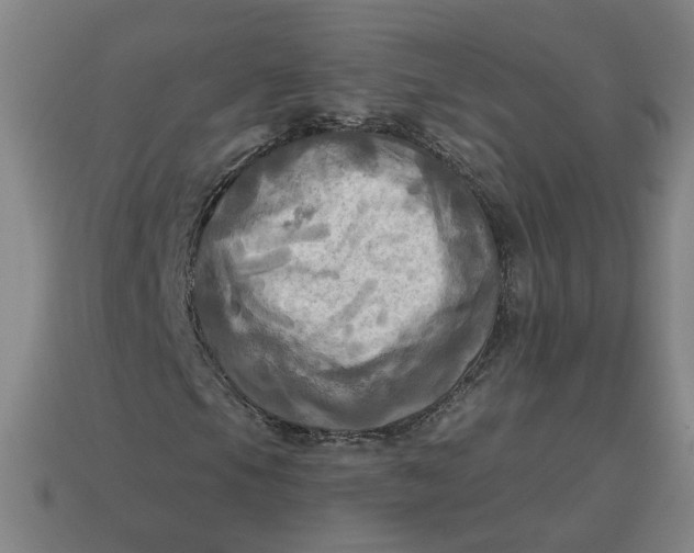 X0000113341105200910060952