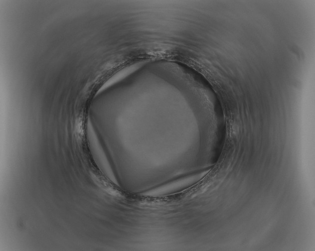 X0000113341106200910060952