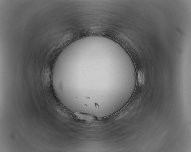 X0000113341107200910060952